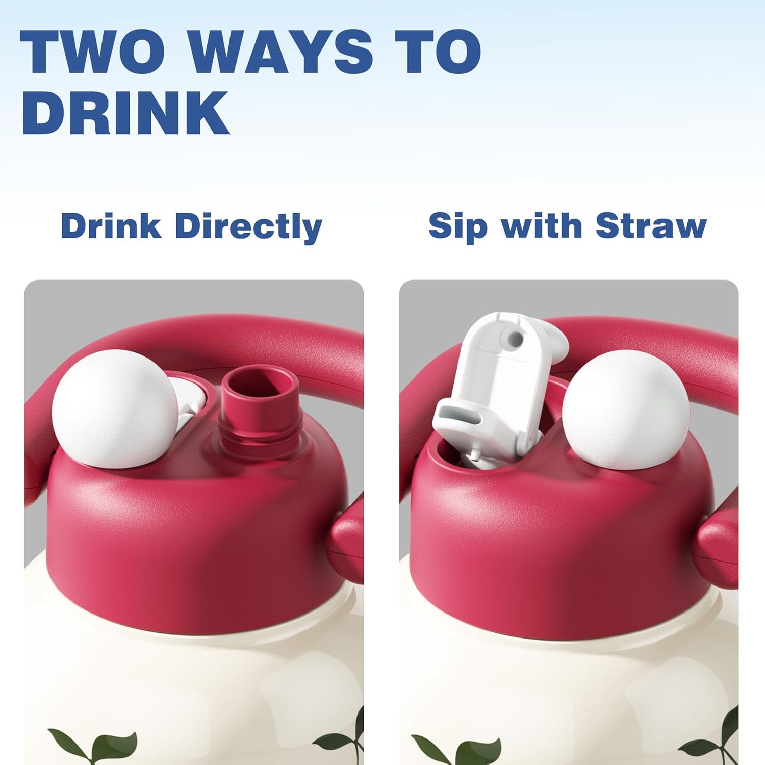 22 oz Water Bottle with Straw and Carry Handle