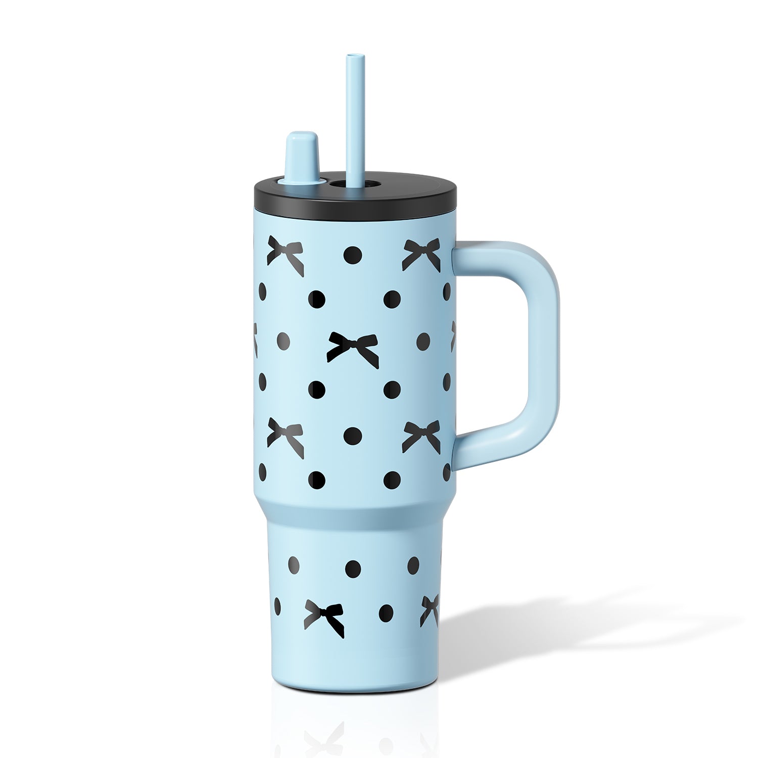 Insulated Portyable Water Bottle