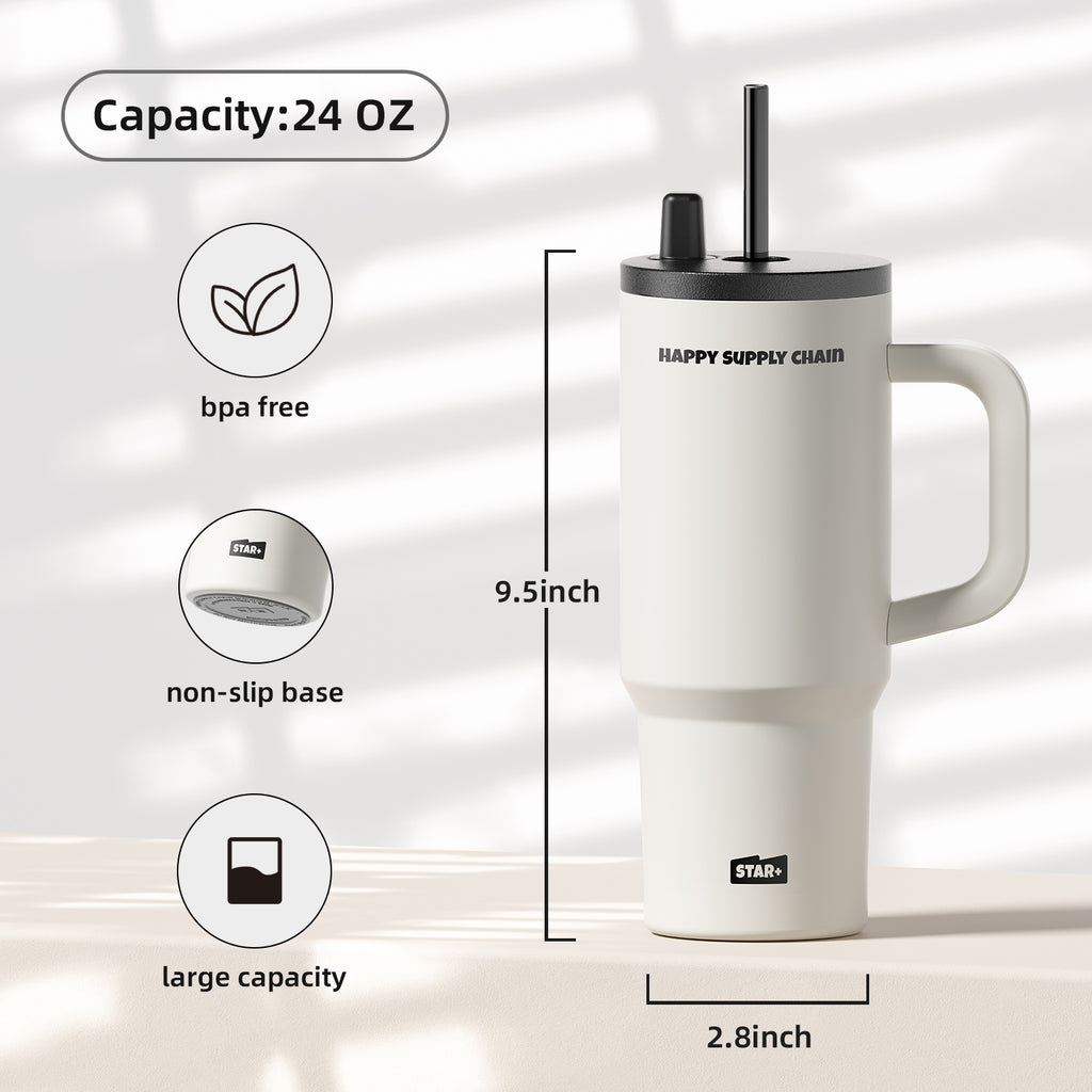 Insulated Portyable Water Bottle