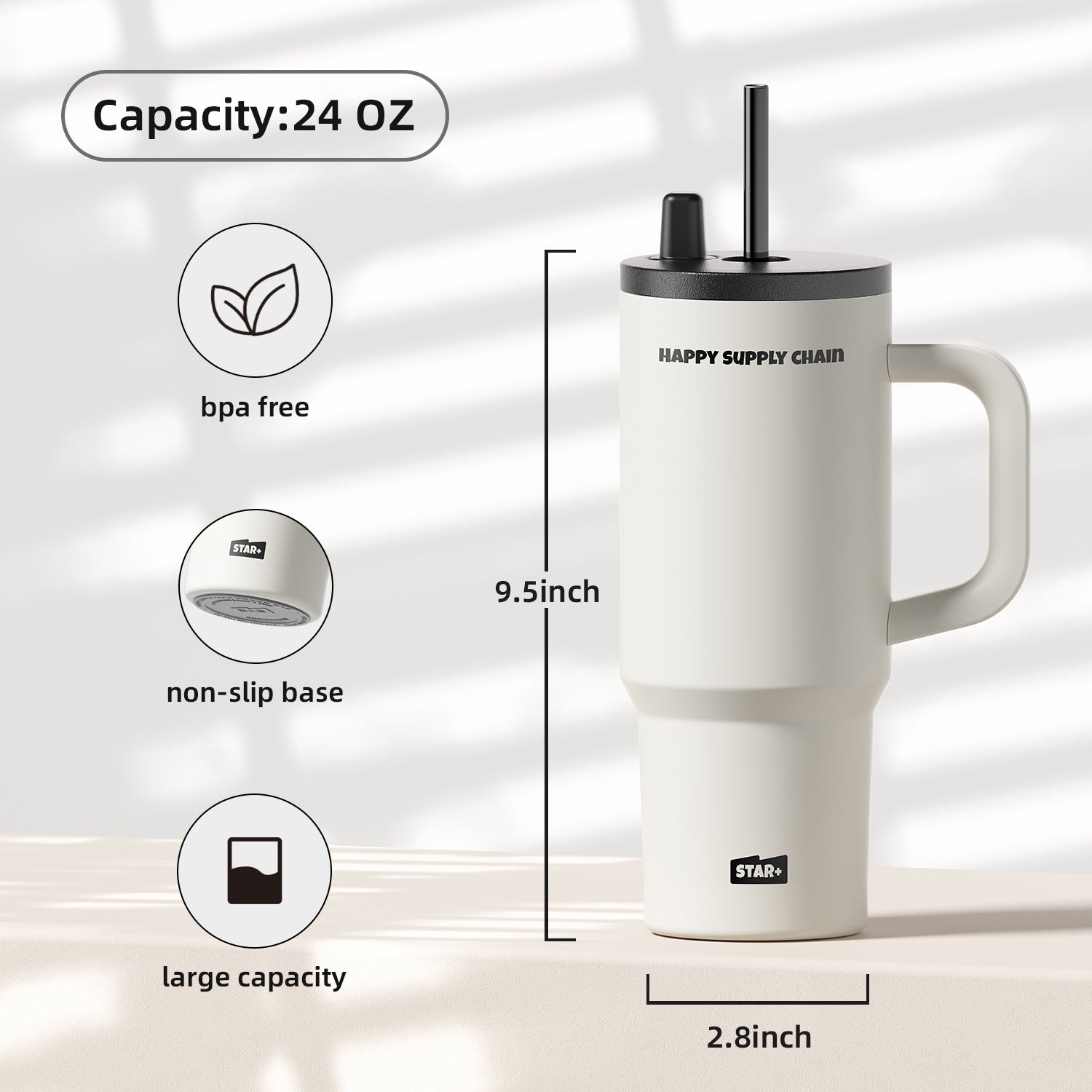 Insulated Portyable Water Bottle